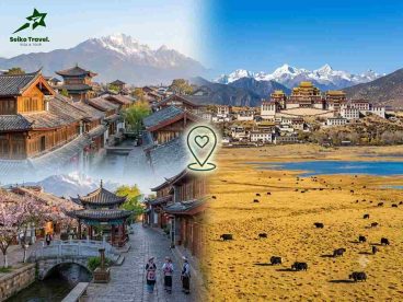 tour du lịch trong nước; tour du lịch nước ngoài; tour du lịch trọn gói; công ty du lịch uy tín; Seiko Travel