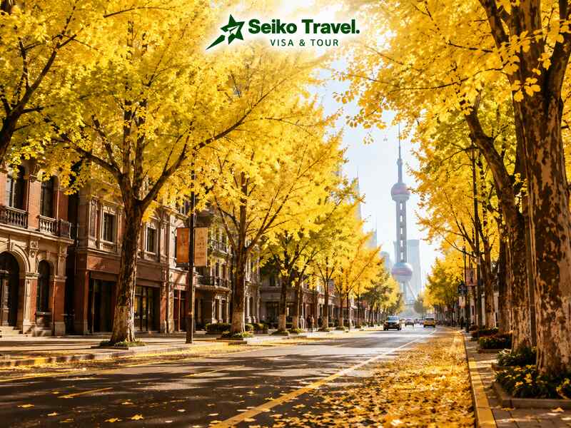 Tour đi du lịch Thượng Hải Trung Quốc – Phố mùa thu lá vàng và tháp Đông Phương Minh Châu